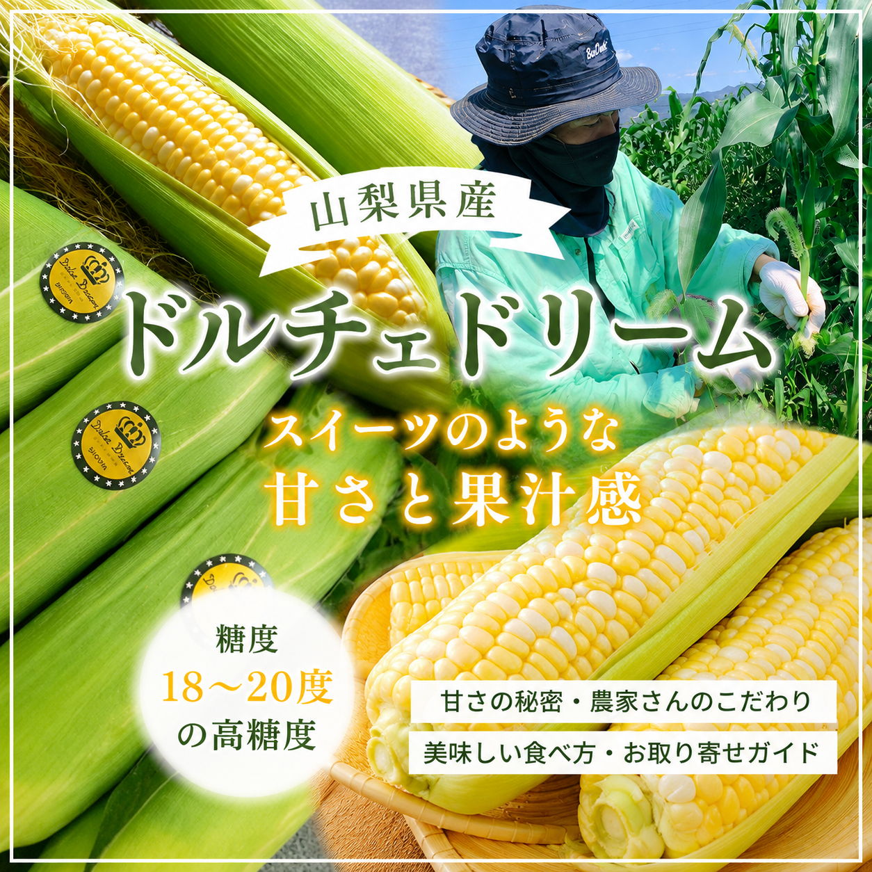 ドルチェドリームとは？山梨県産とうもろこしの特徴・甘さ・お取り寄せ