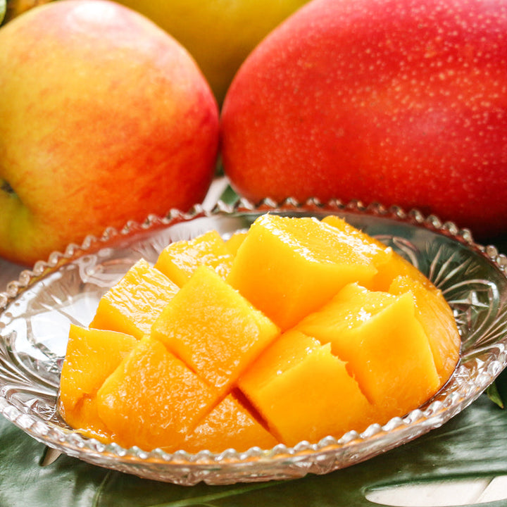 トロピカルマンゴーjent louis Fringe Open-Col トロピカルファーム南アルプス マンゴー(アーウィン種) 糖度17度以上 2