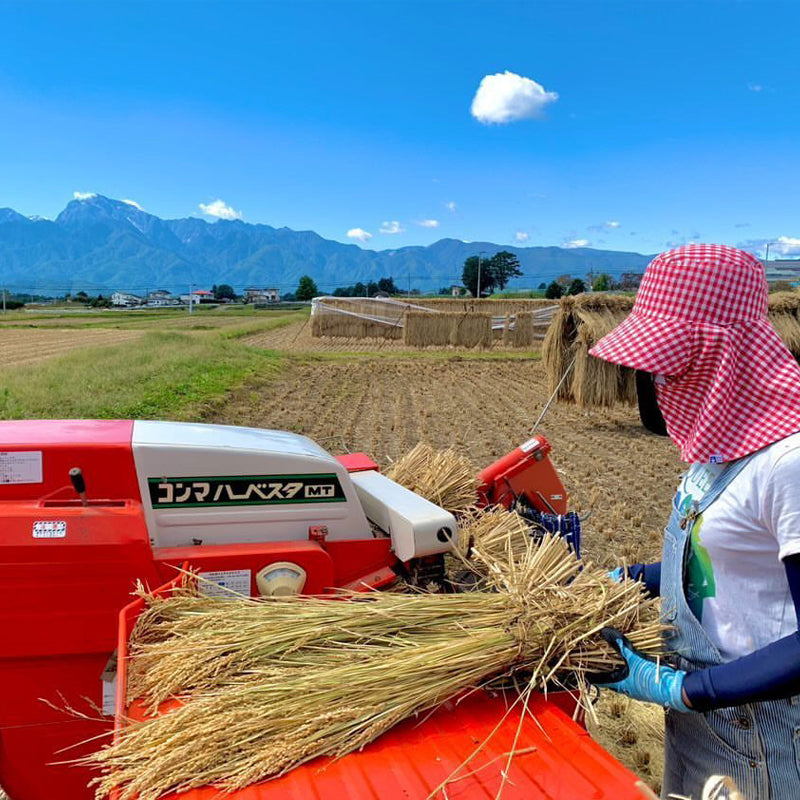 ベジフル山梨 北杜市産 幻のよんぱち米 10kg / 山梨の逸品お取り寄せ