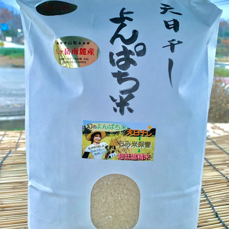 ちよ 10kg×２ 中米 日本緑十字社 チェインバーサイン CHB-S-TR 284044 コーン用 : ミドリ